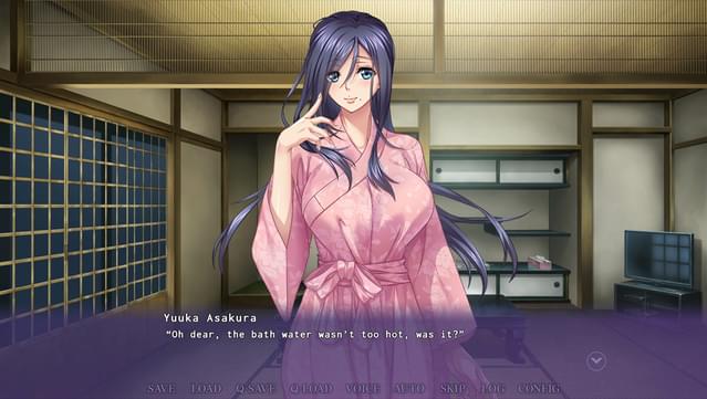 An Aunt After My Own Heart UNRATED screenshot 0