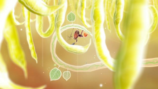 Botanicula Collector's Edition screenshot 4