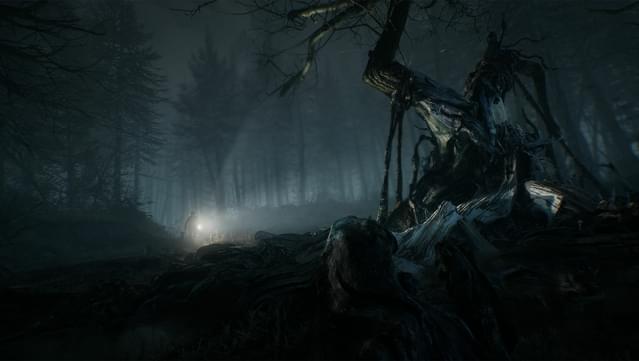 Blair Witch Deluxe Edition screenshot 2