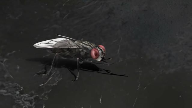 Filthy Us: Complete Edition screenshot 3