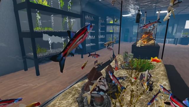 Aquarist - American Fish DLC screenshot 6