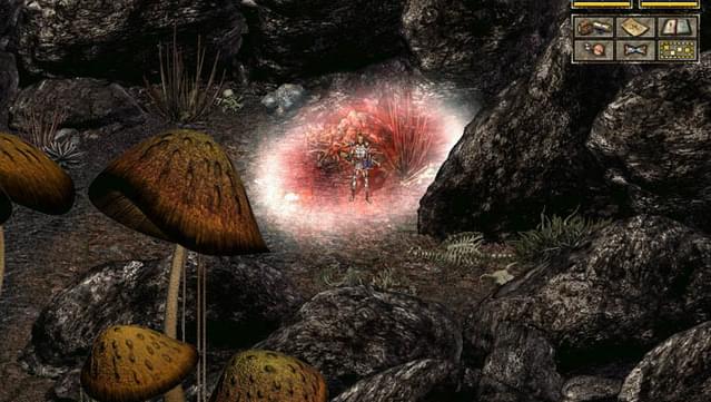 Beyond Divinity screenshot 6