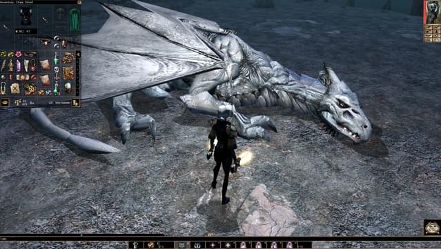 Neverwinter Nights: Enhanced Edition screenshot 3