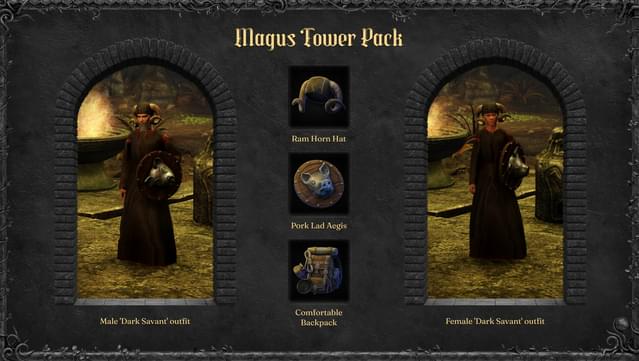 Swordhaven: Magus Tower Pack screenshot 3