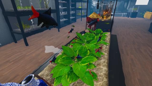 Aquarist - Asian Fish DLC screenshot 5