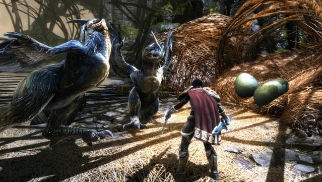 Kingdoms of Amalur: Re-Reckoning FATE Edition screenshot 3