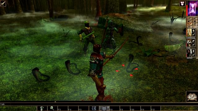 Neverwinter Nights: Wyvern Crown of Cormyr screenshot 1
