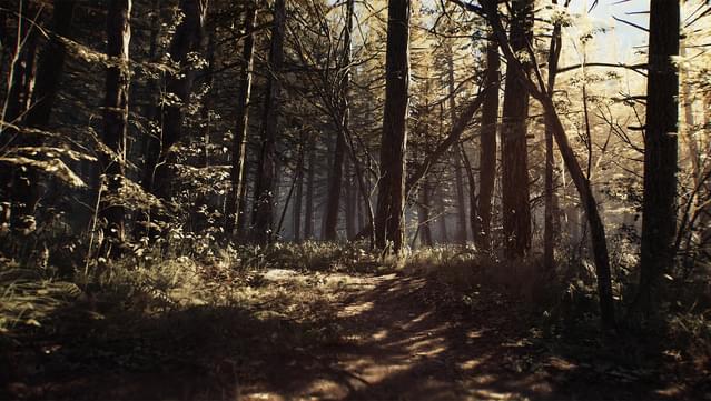 Blair Witch screenshot 1