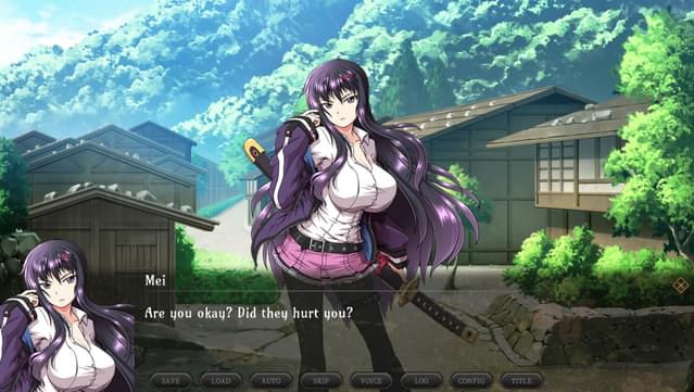Samurai Vandalism UNRATED screenshot 4