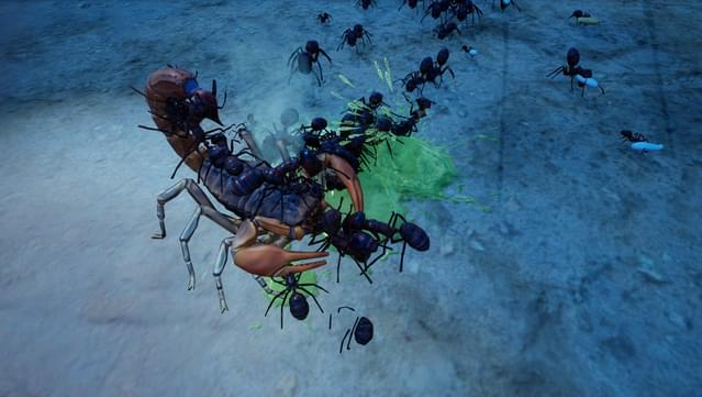 Empires of the Undergrowth - Exploding Ants screenshot 5