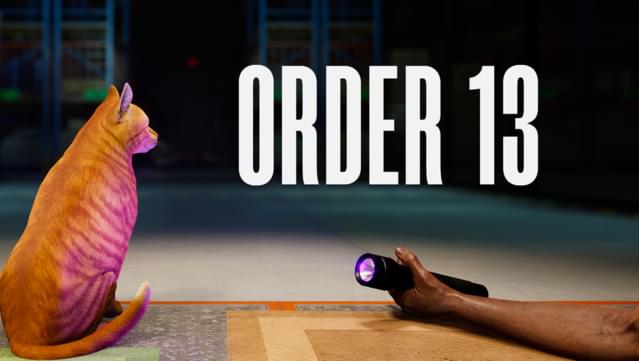 ORDER 13