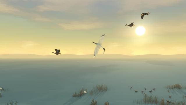 Storm Boy screenshot 3