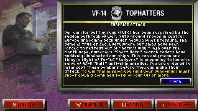 Fleet Defender: The F-14 Tomcat Simulation screenshot 5