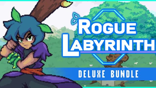 Rogue Labyrinth Deluxe