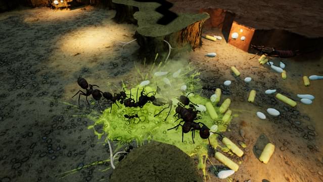 Empires of the Undergrowth - Exploding Ants screenshot 2