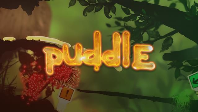 Puddle