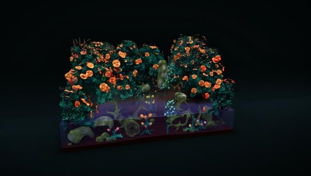 Creatura screenshot 3