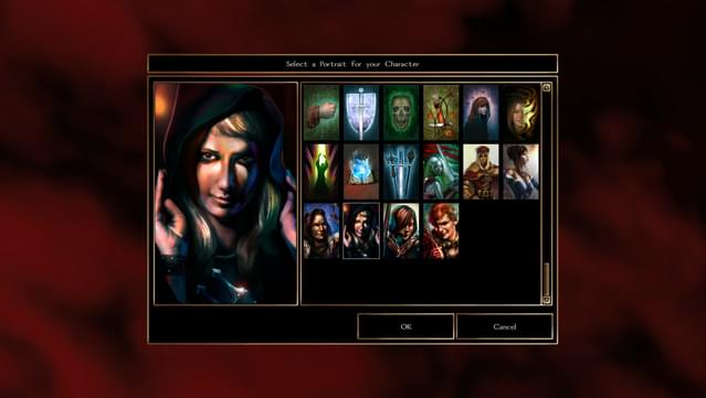 Neverwinter Nights: Heroes of Neverwinter screenshot 1