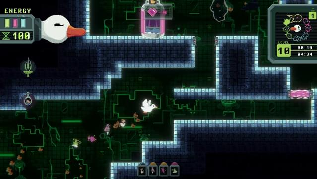Duck Paradox screenshot 6