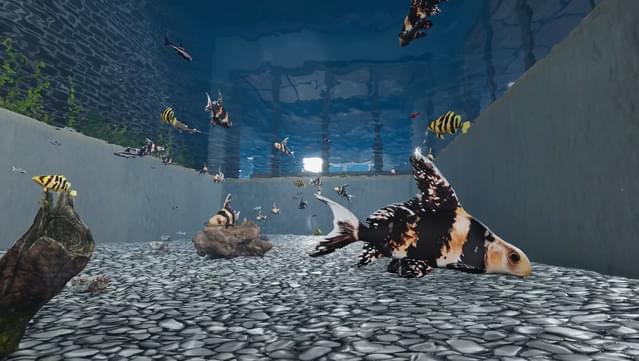 Aquarist - Asian Fish DLC screenshot 2