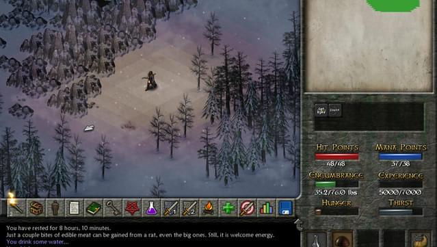 Eschalon: Book II screenshot 0