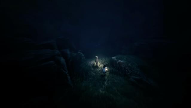 REANIMAL screenshot 4