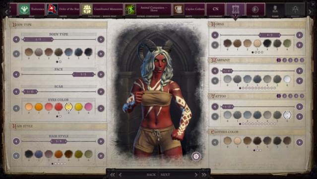 Pathfinder: Wrath of the Righteous - Paint of War screenshot 0