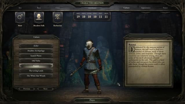 Pillars of Eternity: Hero Edition screenshot 6