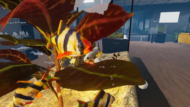 Aquarist - Asian Fish DLC screenshot 3