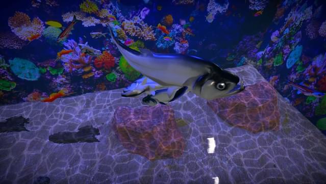 Aquarist - American Fish DLC screenshot 5