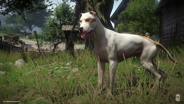 Kingdom Come: Deliverance – A Woman's Lot screenshot 3