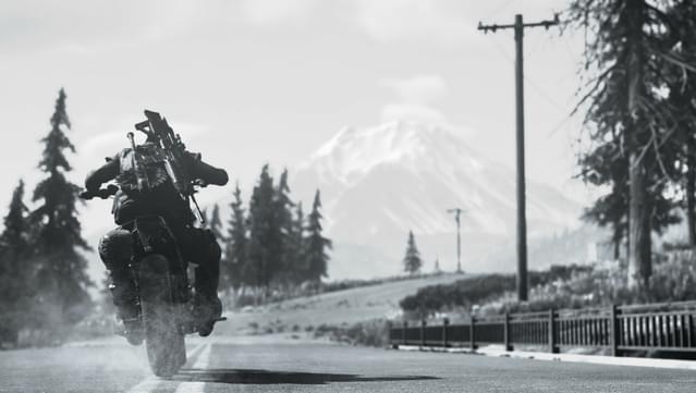 Days Gone screenshot 7