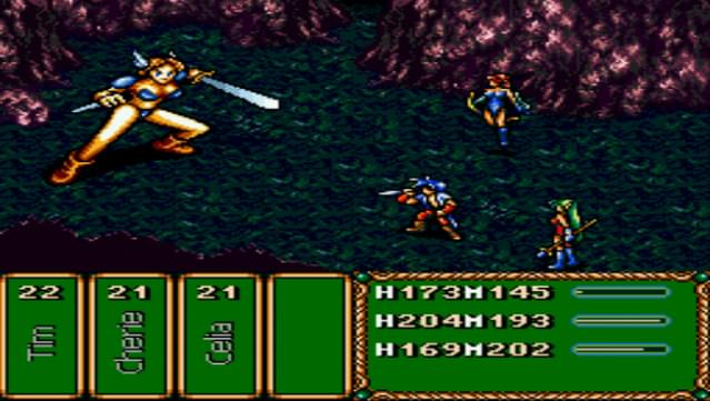 Brave Battle Saga - The Legend of The Magic Warrior screenshot 3