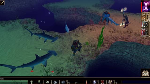 Neverwinter Nights: Pirates of the Sword Coast screenshot 0
