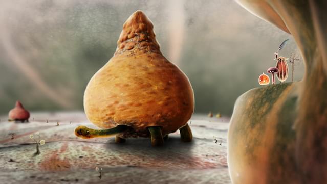 Botanicula Soundtrack + Art Book screenshot 0