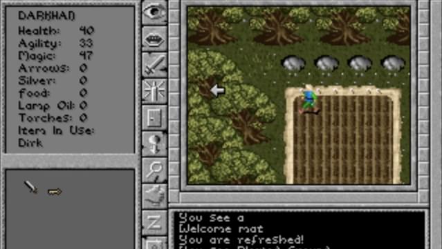 Prophecy of the Shadow screenshot 1