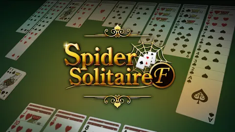Spider Solitaire F