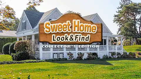 Sweet Home: Look and Find Collector's Edition