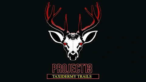 Project 13: Taxidermy Trails