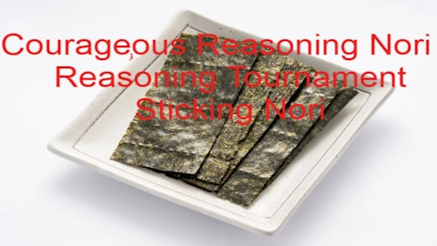 Courageous Reasoning Nori 9 Reasoning Tournament Sticking Nori