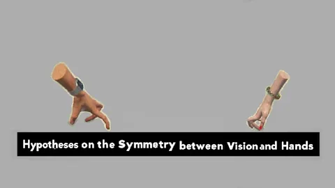 Hypotheses on the Symmetry between Vision and Hands
