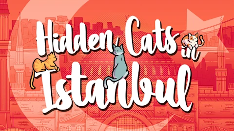 Hidden Cats in Istanbul