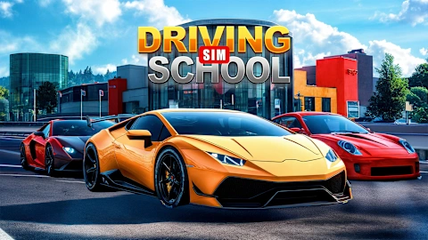 Driving School Sim