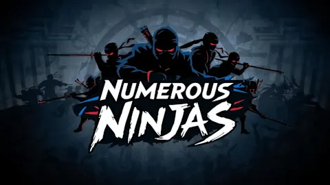 Numerous Ninjas