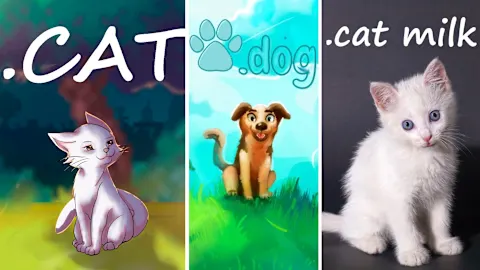 BUNDLE CATS + DOG