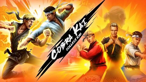 Cobra Kai Collection