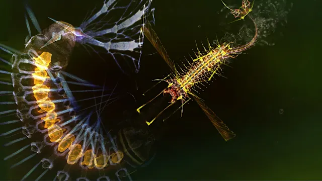 Sparkle 2 EVO screenshot 3