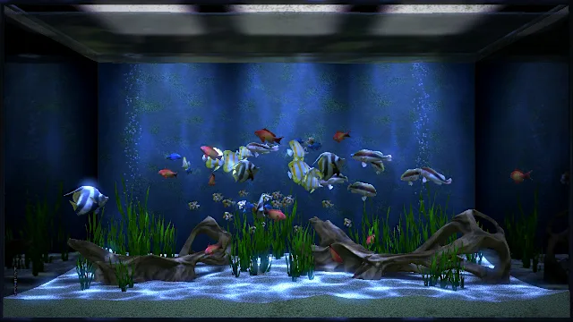 Aqua TV screenshot 0