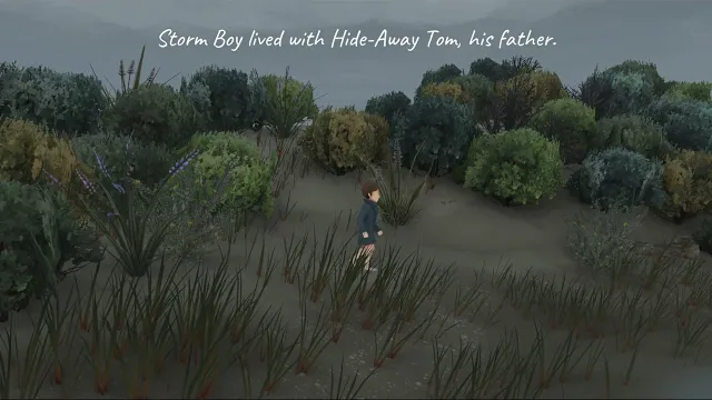 Storm Boy screenshot 1