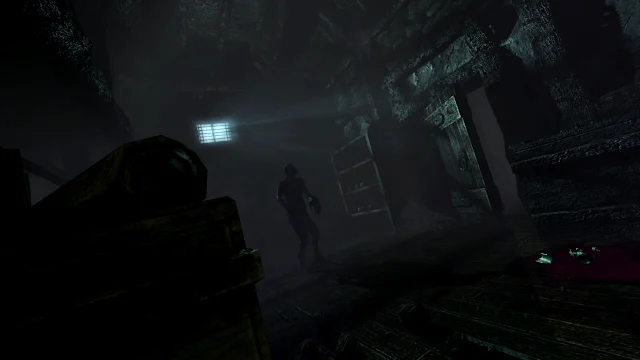 Amnesia: Collection screenshot 1